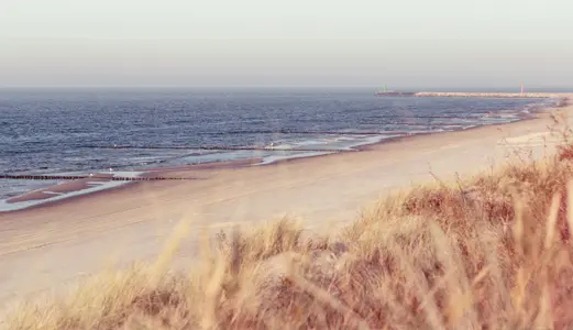 Playa con plantas en primer plano, la arena después y por último el mar con el cielo al fondo